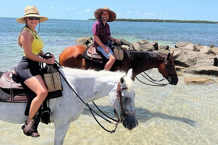 Horse Riding Tour at the Beach in Miami - Photo 1 of 11